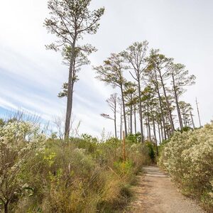 Fundraising Page: Darin Moore